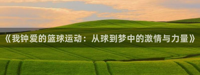 必发官网下载平台注册：《我钟爱的篮球运动：从球到梦中