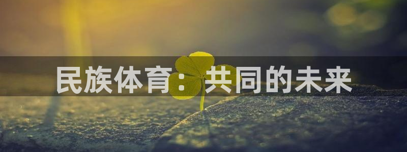 德国必发官方正版app集团：民族体育：共同的未来