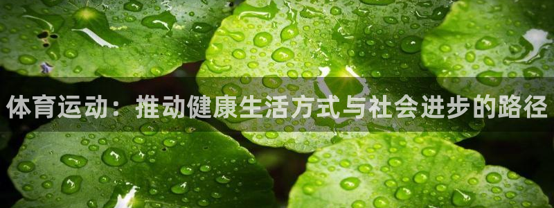 必发官方正版app集团官网首页：体育运动：推动健康生