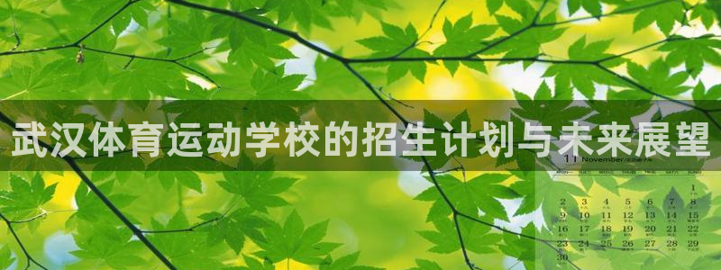 必发官方正版app娱乐平台：武汉体育运动学校的招生计