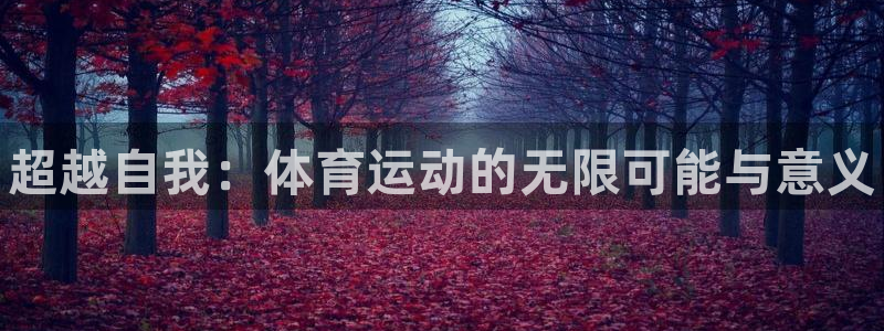 必发官网下载平台注册要钱吗：超越自我：体育运动的无限