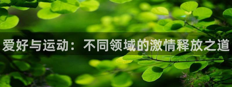 必发官方正版app娱乐40996