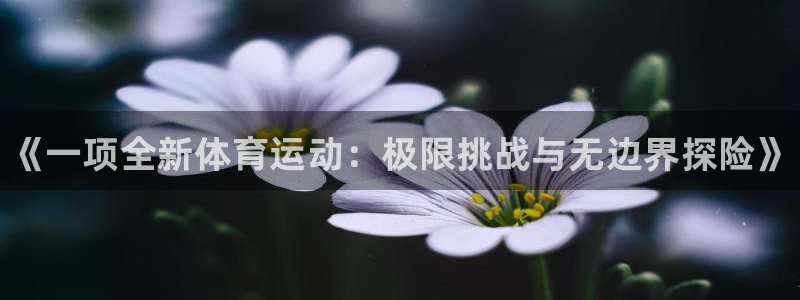 必发官网下载注册：《一项全新体育运动：极限挑战与无边界探险》