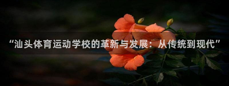 必发官方正版app娱乐是那个系列的台子：“汕头体育运动学校的