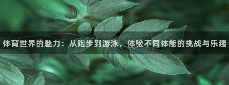 必发官网下载招商电话是多少号码：体育世界的魅力：从跑步到游泳