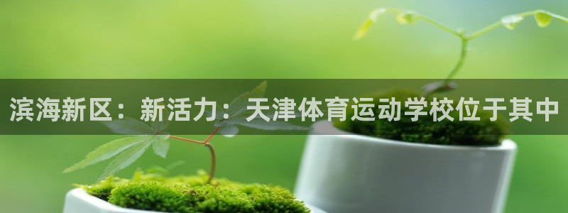 必发官网下载平台APP：滨海新区：新活力：天津体育运动学校位