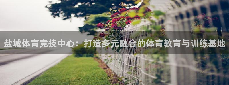 必发官方正版app官方：盐城体育竞技中心：打造多元融
