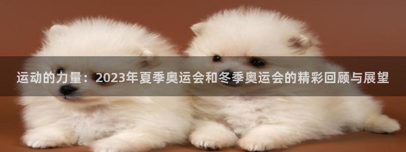 海南必发官网下载发展怎么样：运动的力量：2023年夏季奥运会