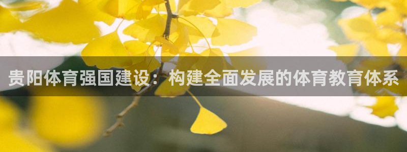 必发官网下载招商：贵阳体育强国建设：构建全面发展的体育教育体