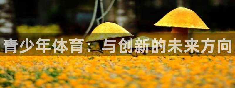 必发官网下载注册：青少年体育：与创新的未来方向