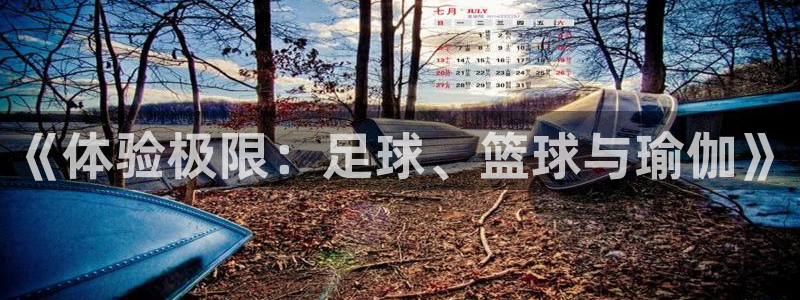 必发官方正版app娱乐代理怎么样：《体验极限：足球、篮球与瑜