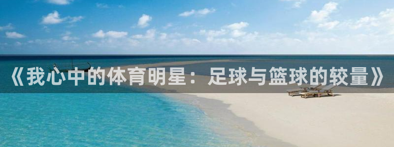  必发官网登录手机版：《我心中的体育明星：足球与篮球的较量》