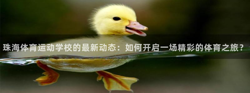  必发手机娱乐平台官网：珠海体育运动学校的最新动态：如何开启一