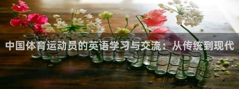 必发集团全部平台：中国体育运动员的英语学习与交流：从传统到现
