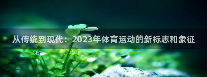 必发集团官网登录网址是什么呢：从传统到现代：2023年体育运