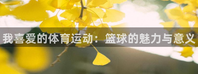 必发客服：我喜爱的体育运动：篮球的魅力与意义