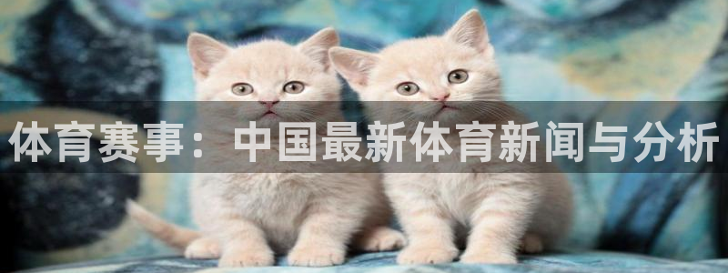  必发下载安卓手机版：体育赛事：中国最新体育新闻与分析