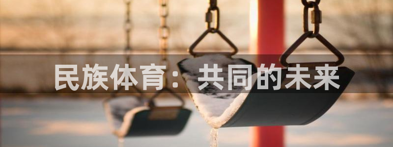 必发集团官网平台下载app：民族体育：共同的未来